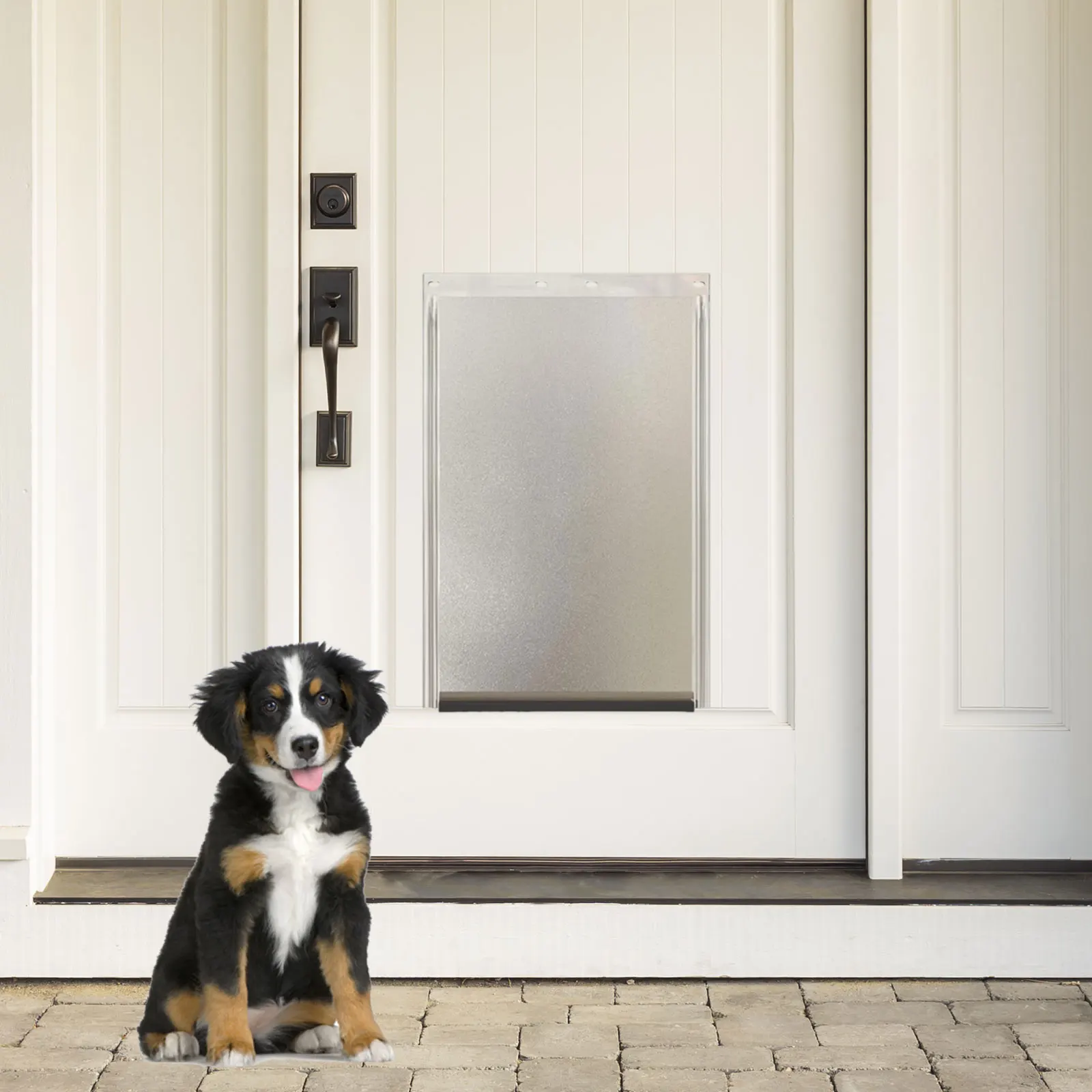 Dog Door Replacement Flap Portable Puppy Cats Kitten Door Flap Strong Bearing TPU Pet Folding Door Pet Supplies