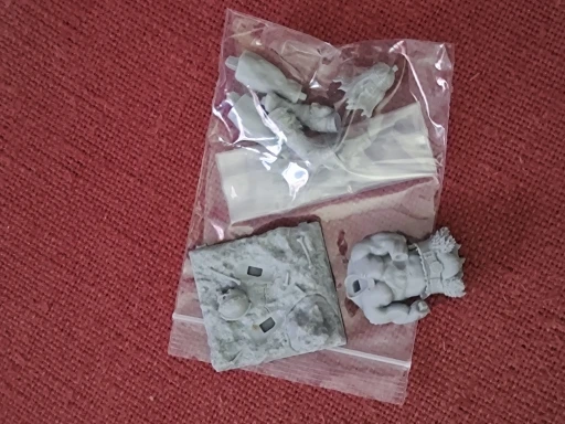 Buyer photo of this resin kit