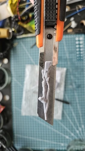 Buyer photo of this resin kit