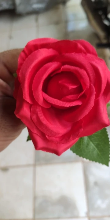 리뷰 사진