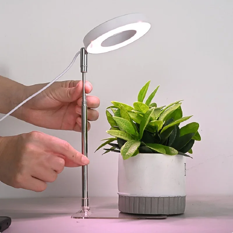 LED élèvent la lumière spectre complet plante croissance lumière USB 5V hauteur réglable Dimmable lampe de croissance avec minuterie pour plantes d'intérieur herbe