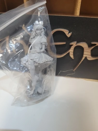 Buyer photo of this resin kit
