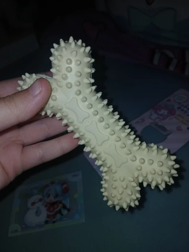 실물 포토 리뷰