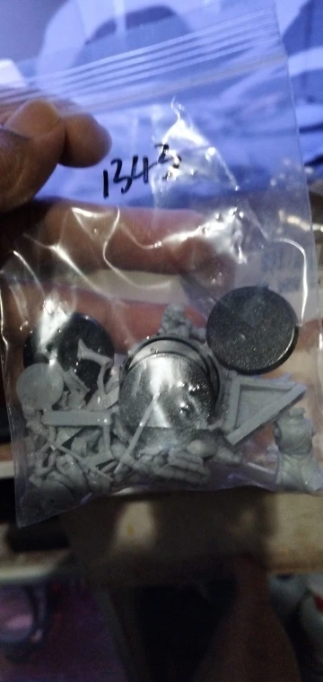 Buyer photo of this resin kit