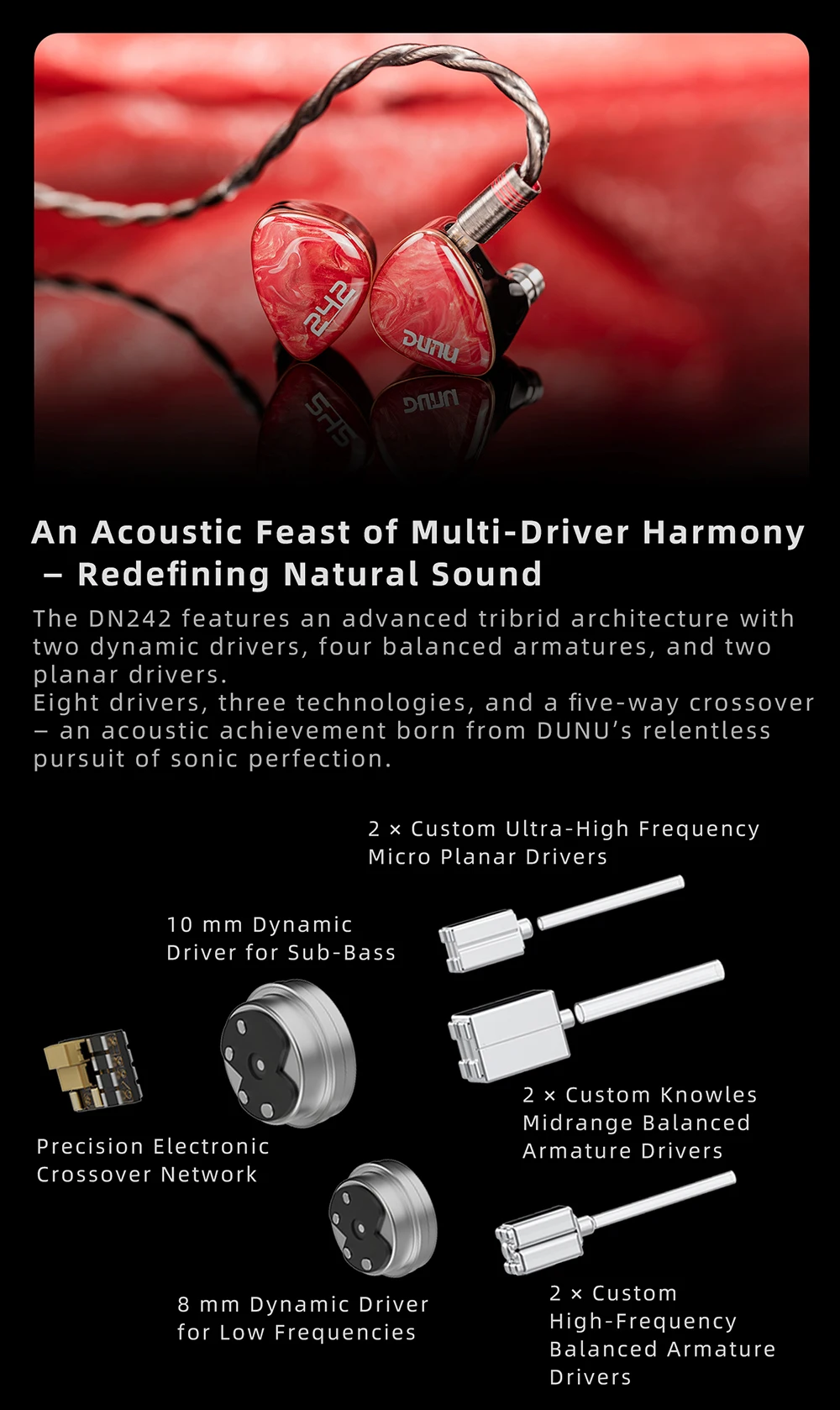DUNU DN242 2DD+4BA+2 Micro Planar Drivers HiFi-Musik-In-Ear-Kopfhörer mit Q-Lock Mini austauschbarem Anschlusskabel – Detail 2