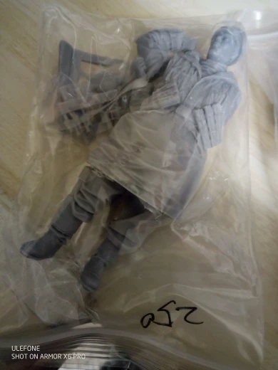 Buyer photo of this resin kit
