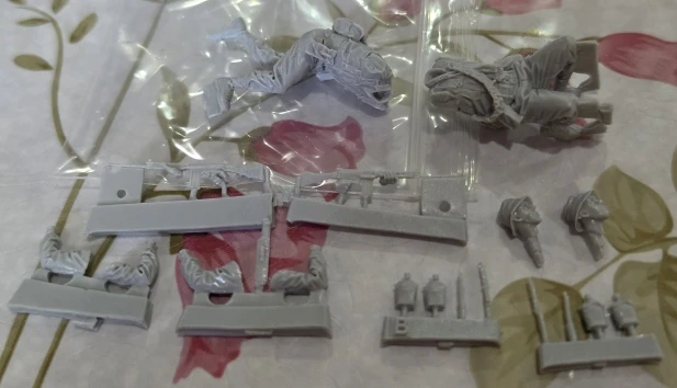 Buyer photo of this resin kit