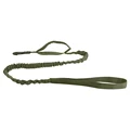 Green Leash