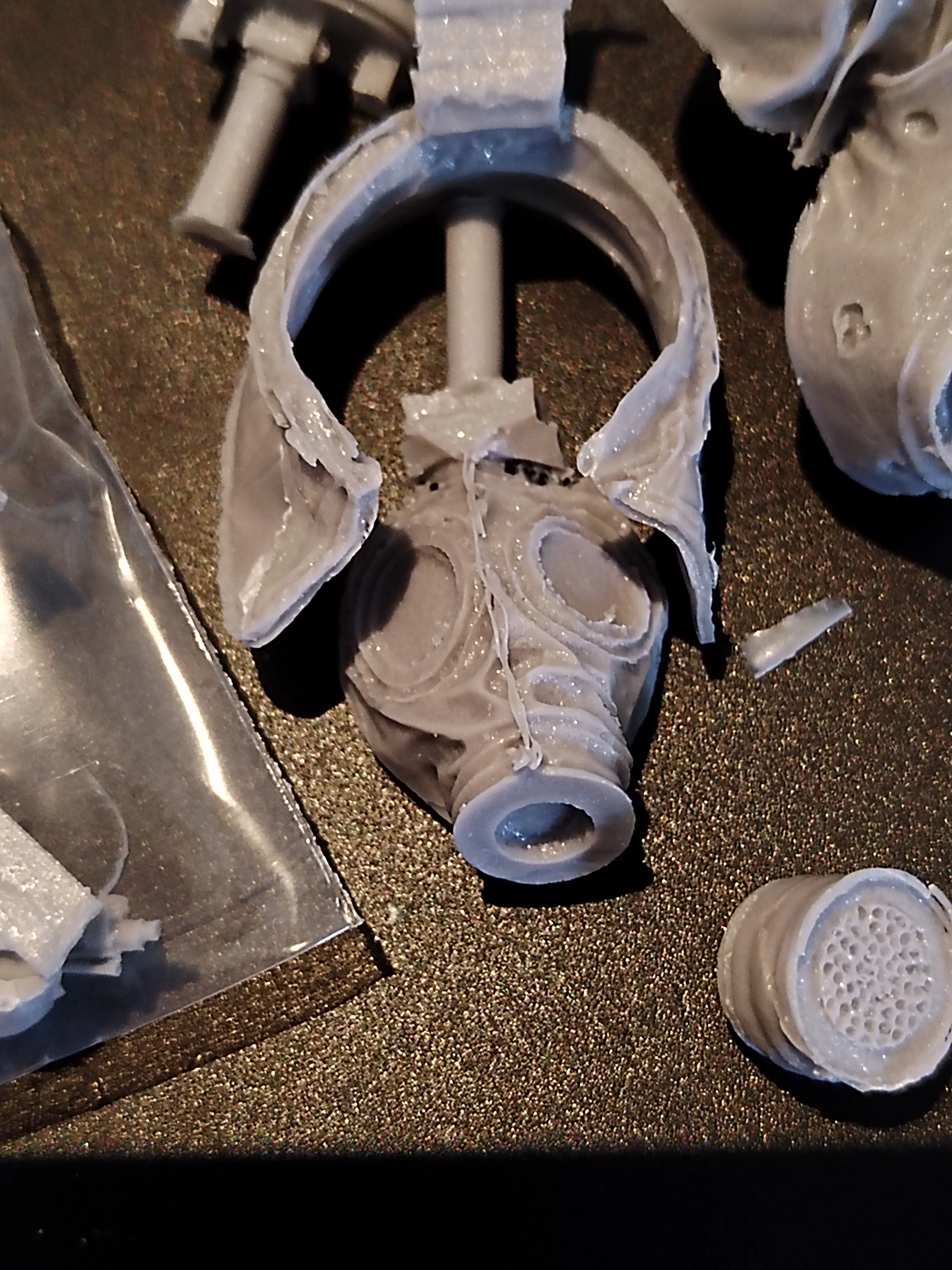 Buyer photo of this resin kit