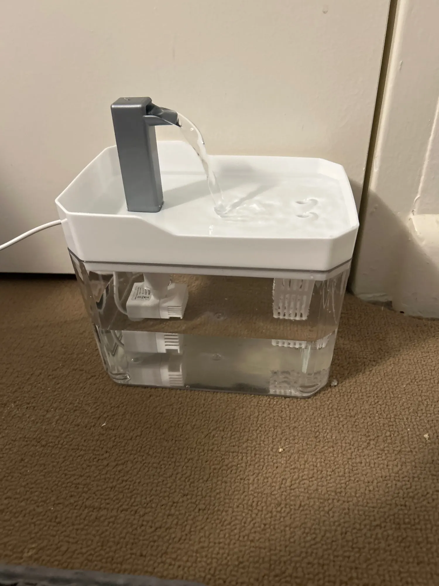 Customer review photo