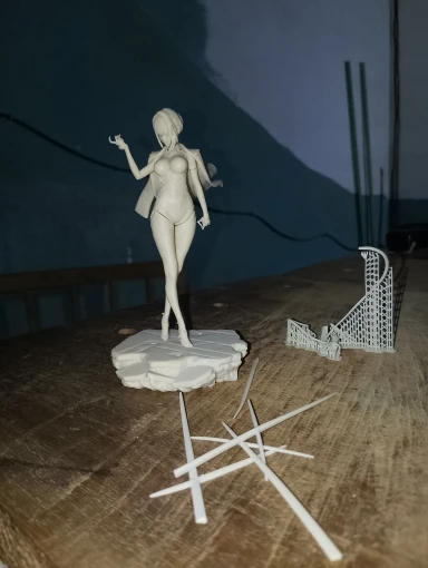 Buyer photo of this resin kit
