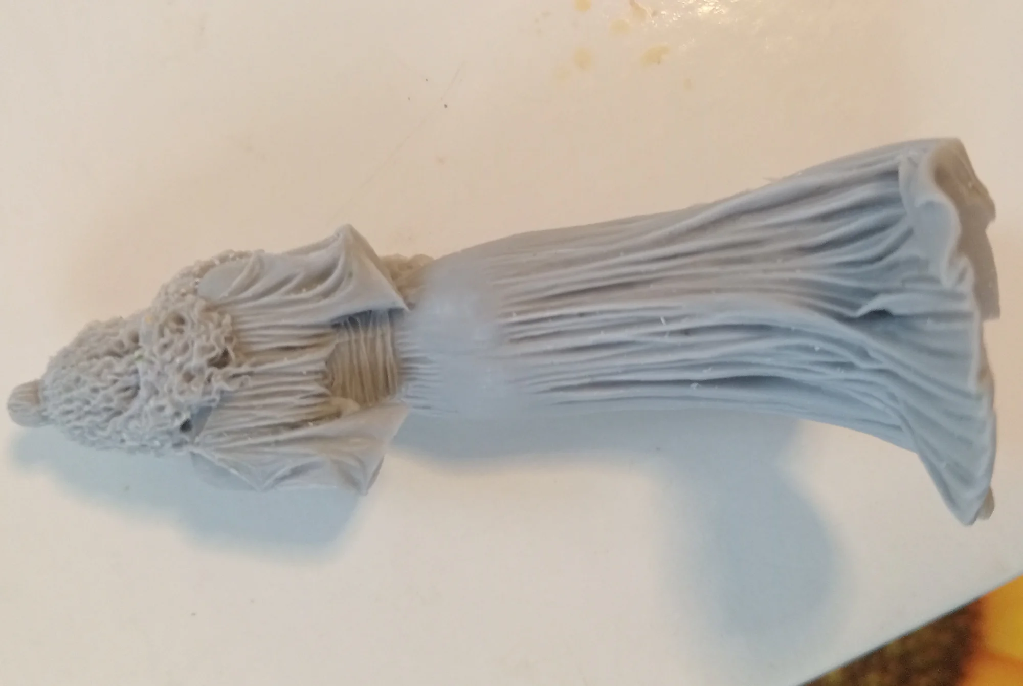 Buyer photo of this resin kit