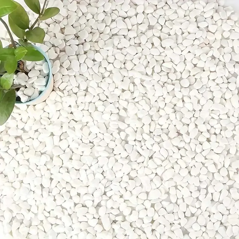 White Pebbles Decorative Stones for Plants - 500g Natural River Rocks for Garden Landscaping, Succulent & Cacti Potting