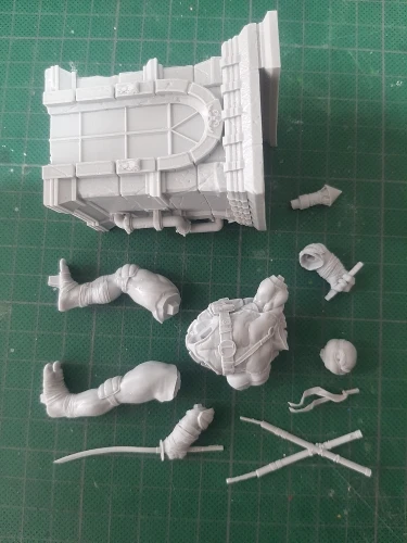 Buyer photo of this resin kit
