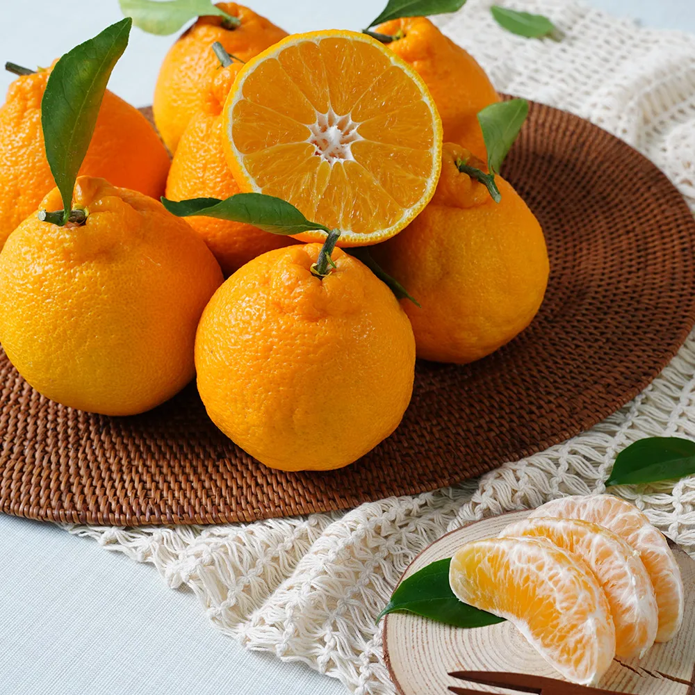 Tangy y Juicy Sweet Jeju Hallabong 4,5 kg (pequeño/23-30 piezas)