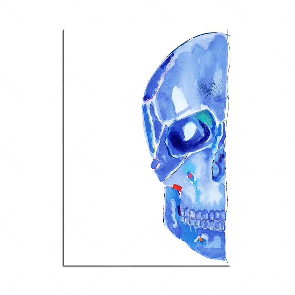 Human Anatomy Face Art Print, Skull and Facial Muscles Anatomy, Abstract Anatomy, Plastic Surgery Art, Surgeon Gift