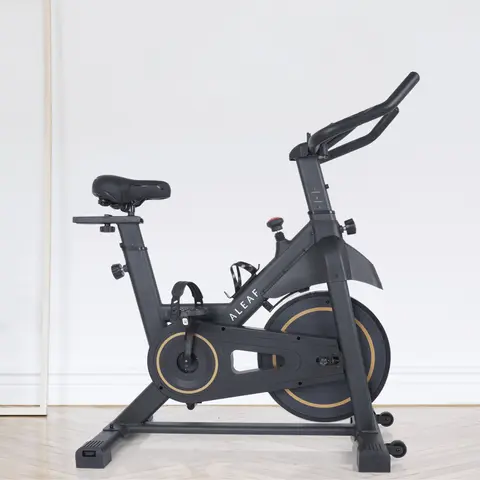 ALEAF 마그네틱 무소음 스피닝 바이크 실내 헬스 자전거