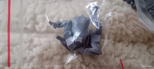 Buyer photo of this resin kit