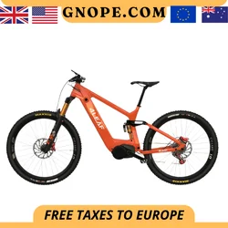 4 leaf Electric Bike for Adults 29