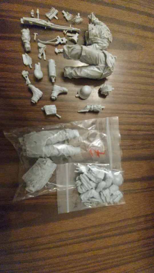 Buyer photo of this resin kit