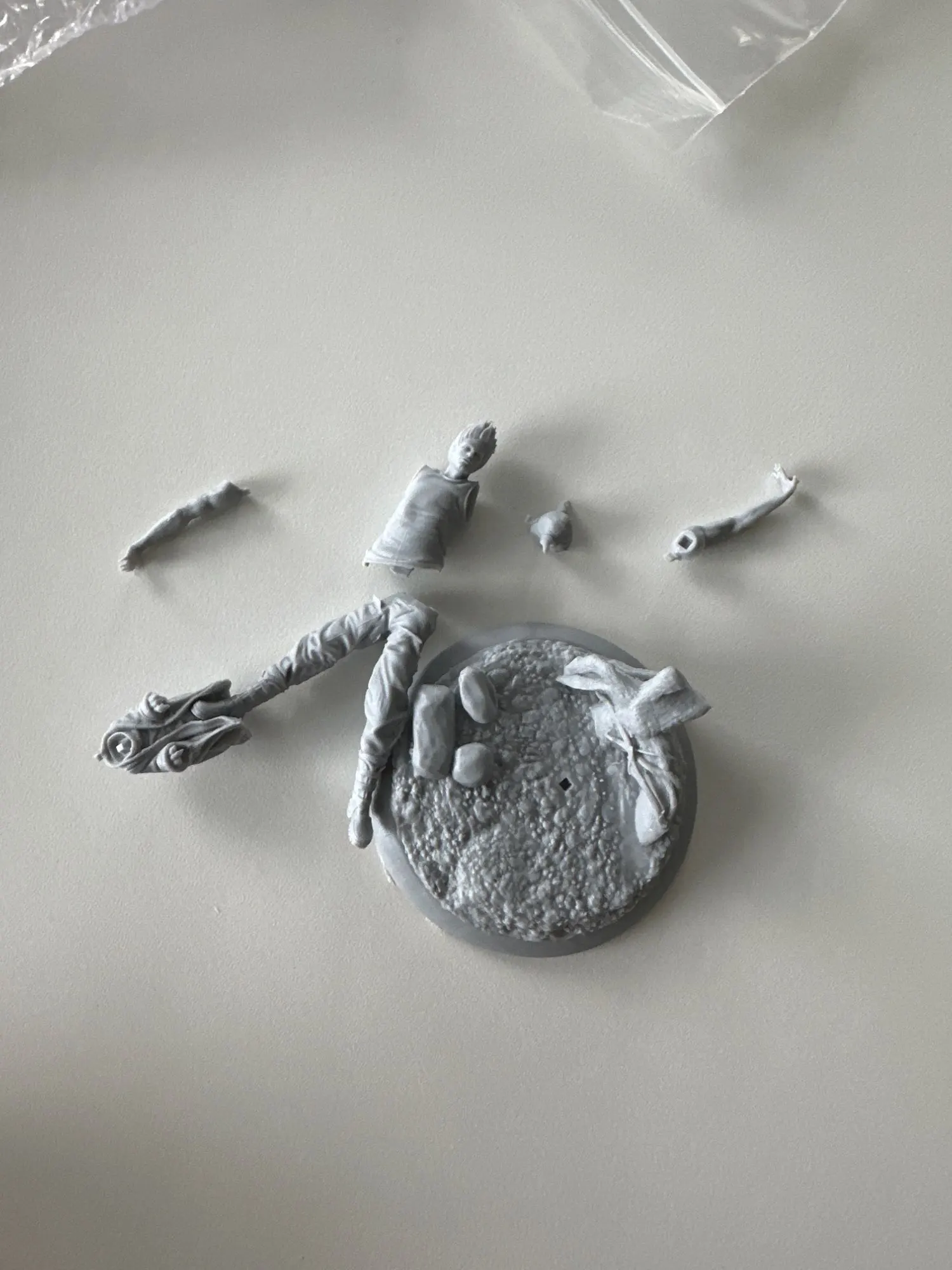 Buyer photo of this resin kit