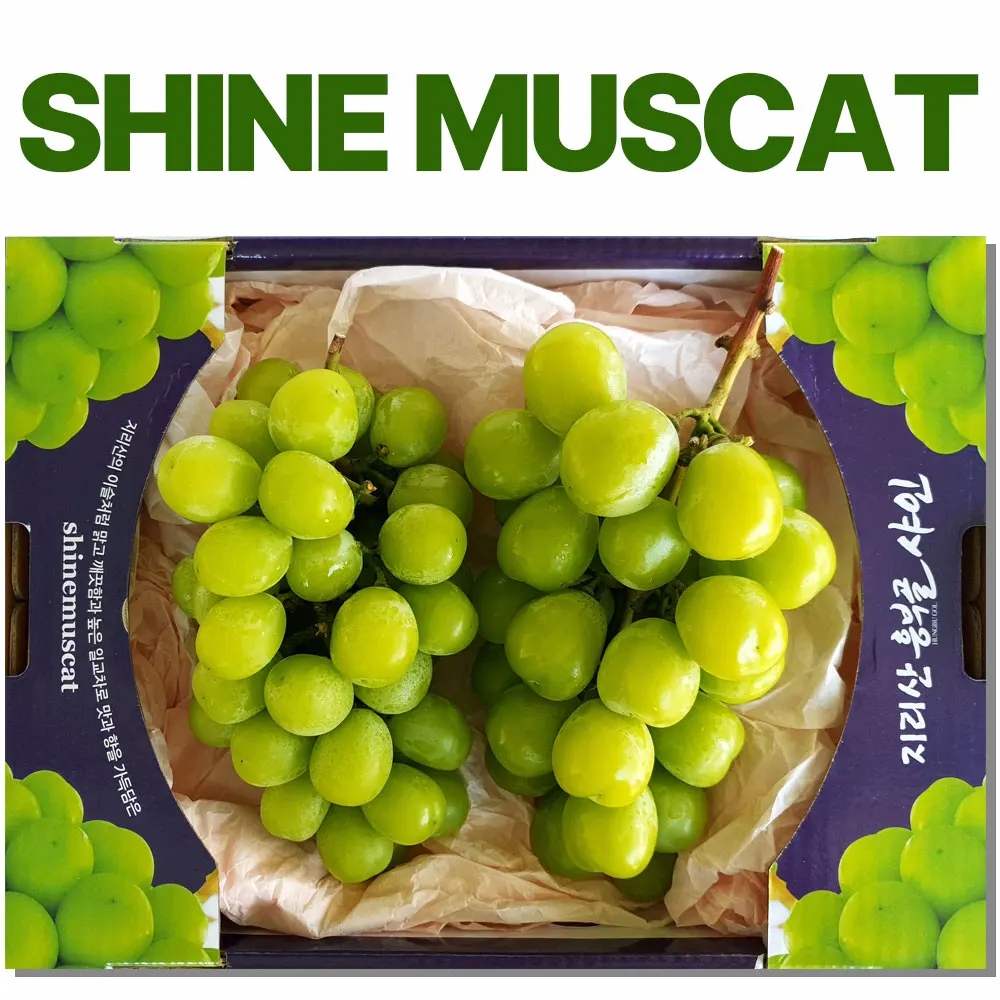 [هايدالدا] مسقط لامع مضمون الذوق 2 كجم عنب أخضر لامع