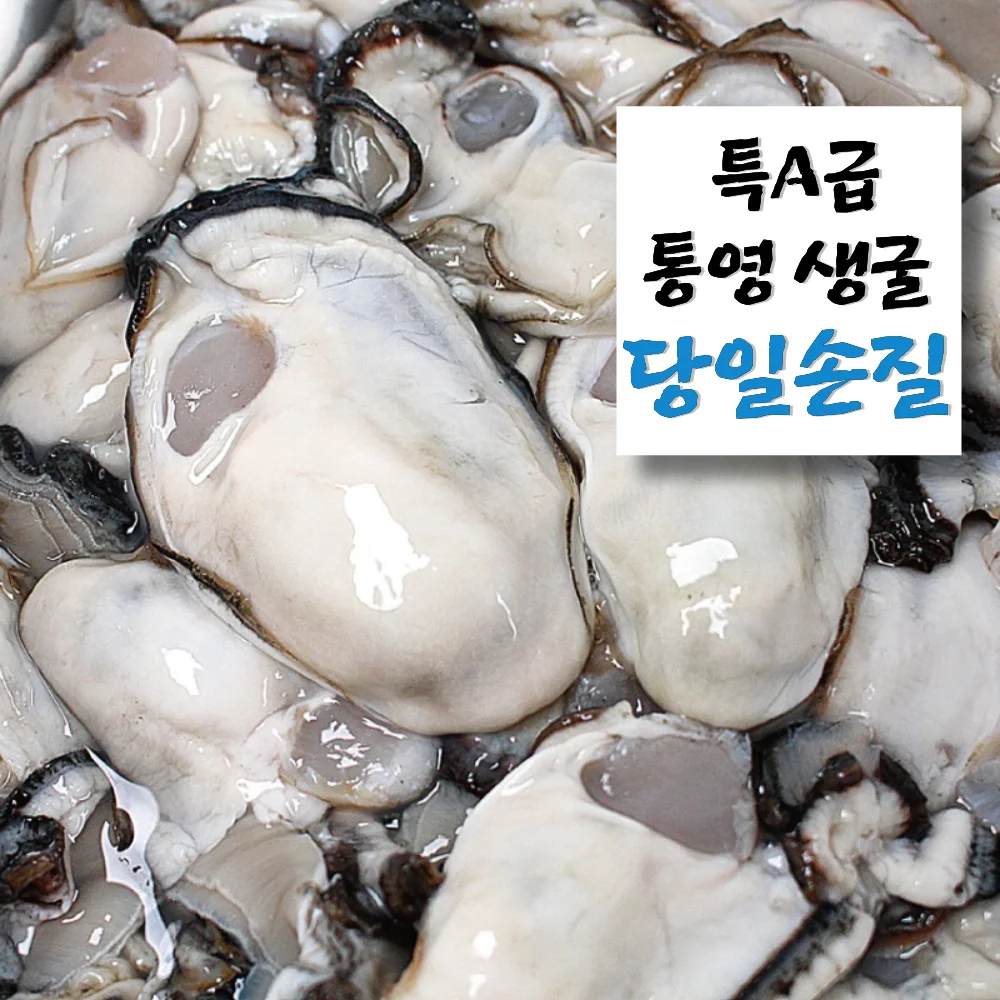 [Same-day operation] 1kg of Tongyoung oyster direct production