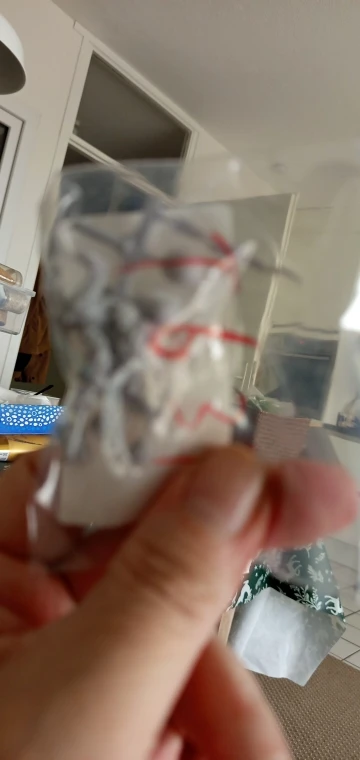 Buyer photo of this resin kit