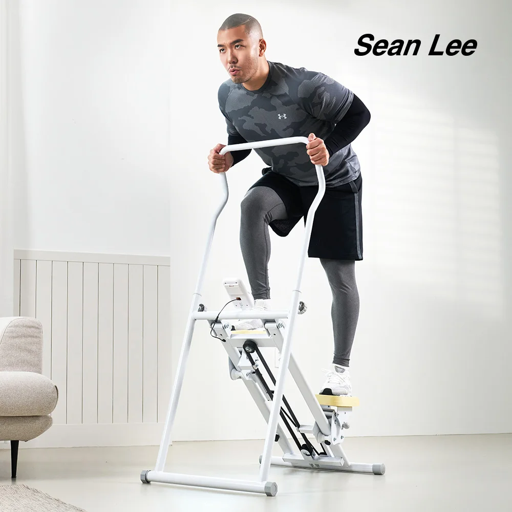 Sean Lee Stairway to Heaven Step Mill Sky Stepper Climber Home Lower Body Exercise Equipment Climbing