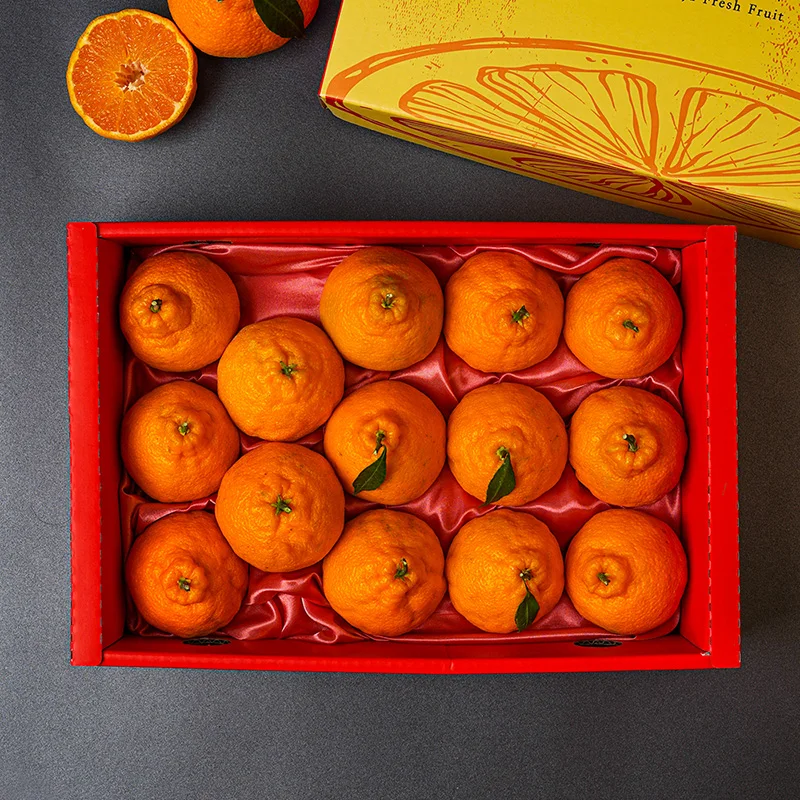 [Possible to be specified/Formlike packaging] Jeju Hanbong 2.6kg/4.6kg fruit gift set