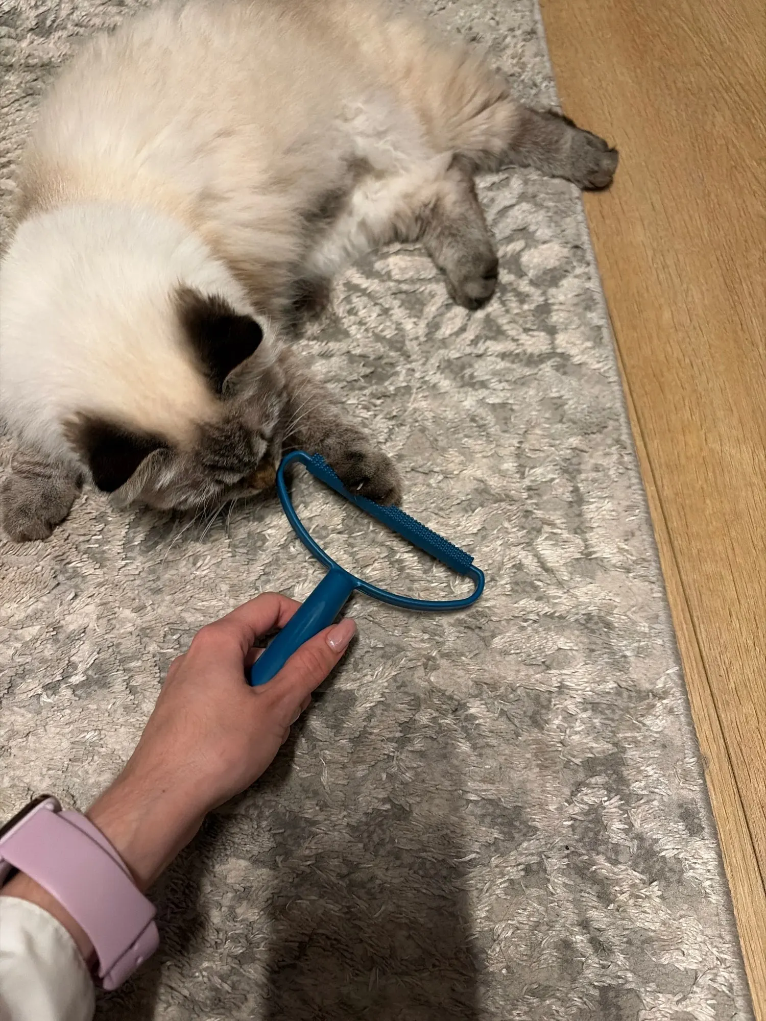 Customer review photo for Manual Pet Hair & Lint Remover Brush