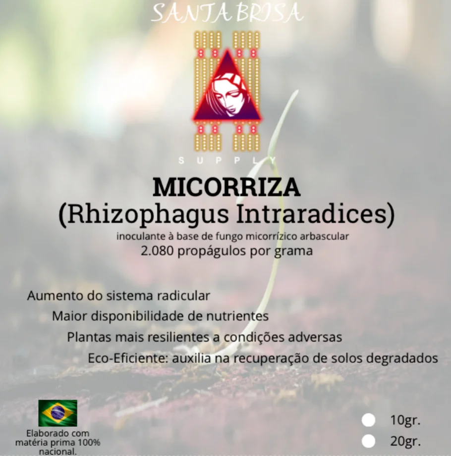 Micorriza RHIZOPHAGUS INTRARADICES 20gr - Santa Brisa - Mikos - Grow