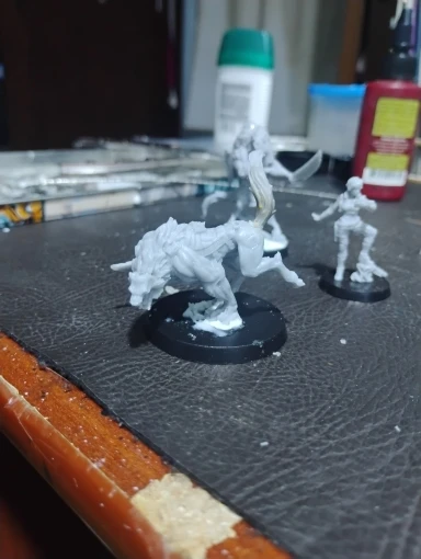Buyer photo of this resin kit
