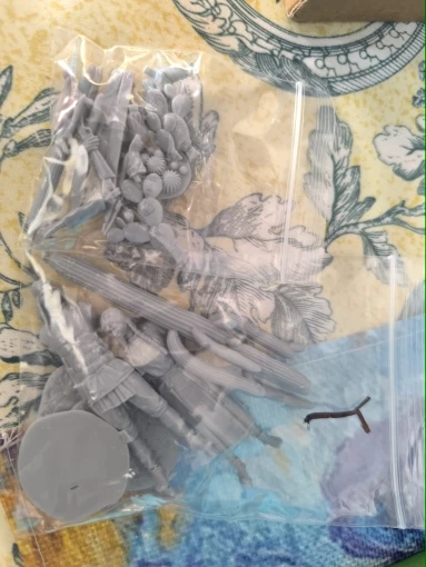 Buyer photo of this resin kit