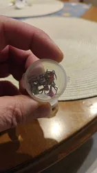 Imagen de reseña 4