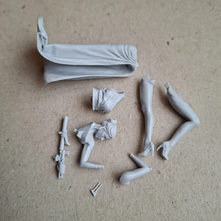 Buyer photo of this resin kit