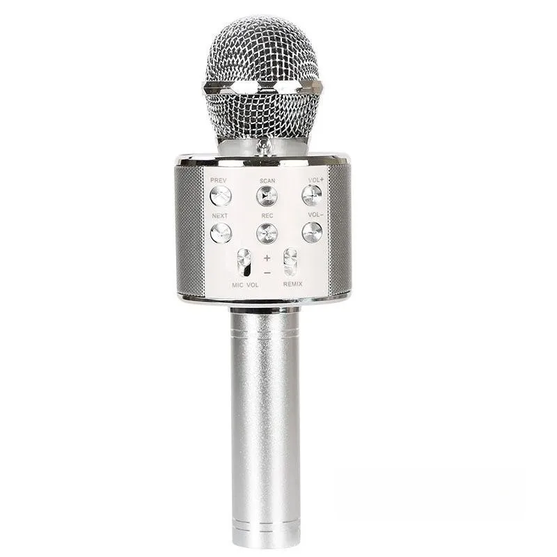 Draadloze Bluetooth Karaoke Microfoon, Karaoke Mic Speaker Met Verstelbare Remix Fm Radio Voor Kinderen Meisjes Jongens Tieners Verjaardag