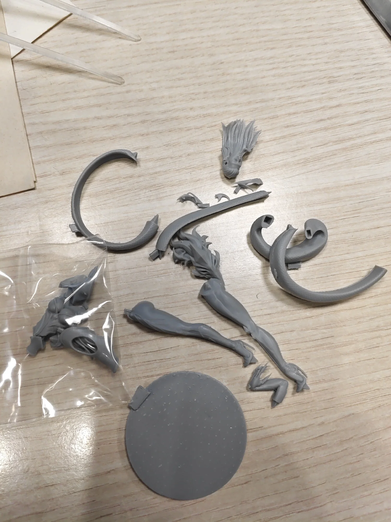 Buyer photo of this resin kit