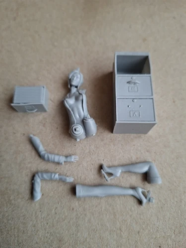 Buyer photo of this resin kit