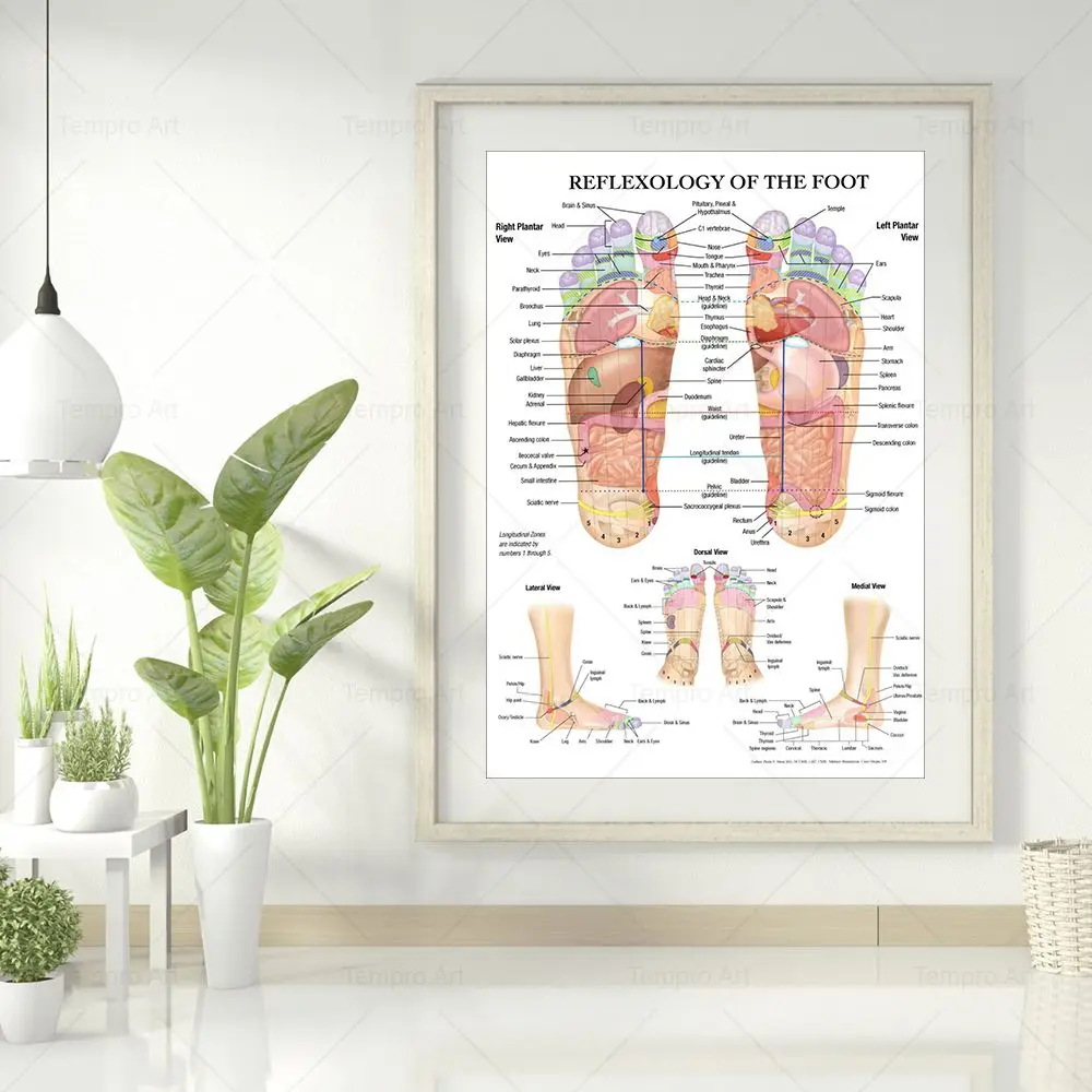 Reflexology Of The Foot Poster Acupuncture Point Chart Anatomy Art Canvas Painting Print Picture For Living Room Home Wall Decor