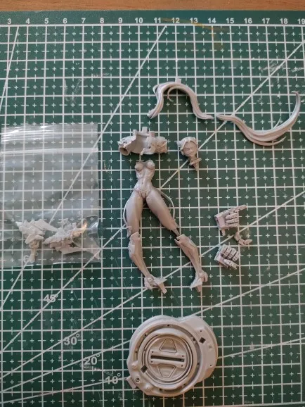 Buyer photo of this resin kit