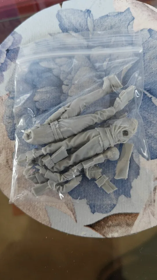 Buyer photo of this resin kit
