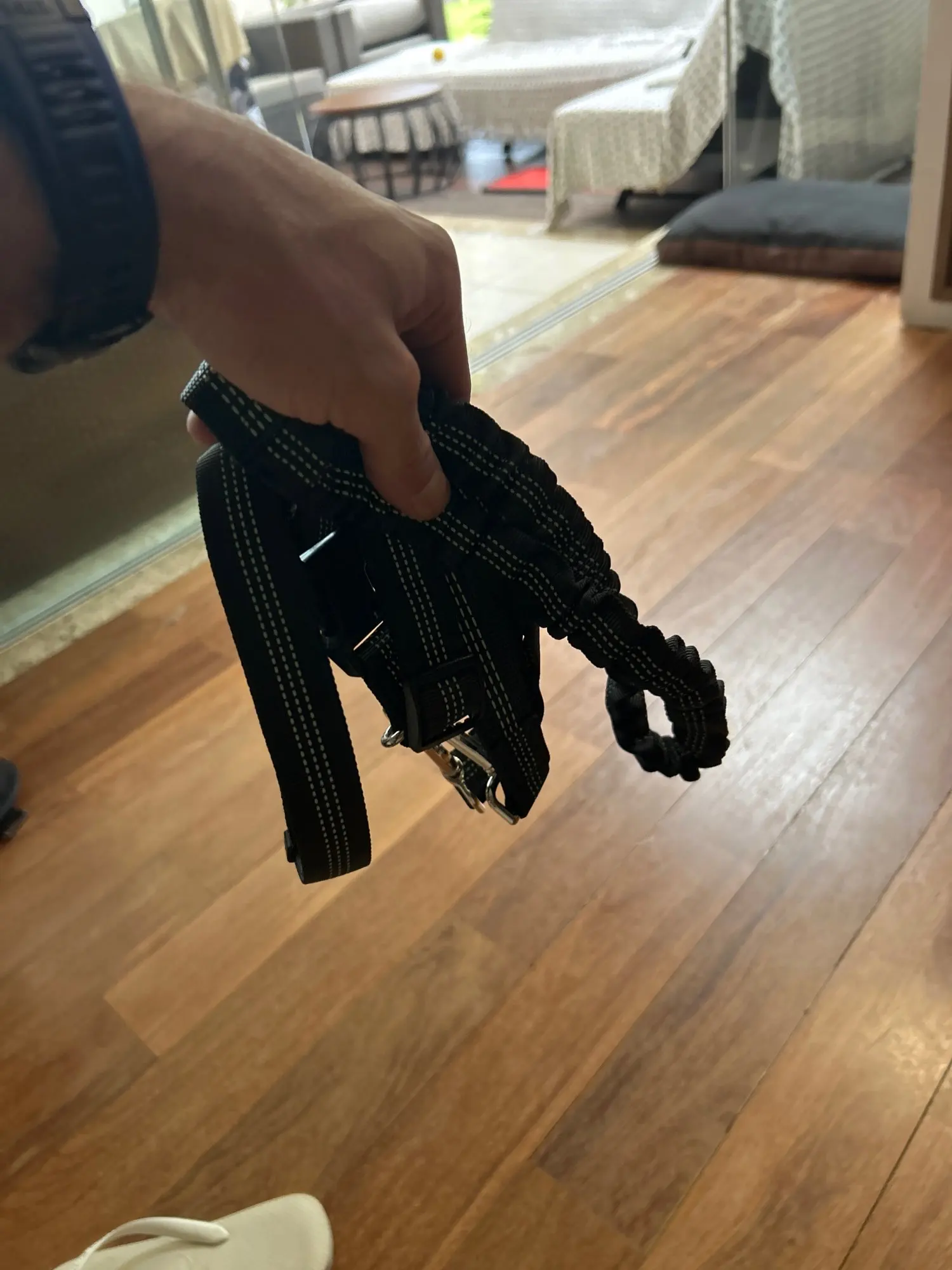 Customer review photo for Hands-Free Bungee Dog Leash with Adjustable Waist Belt