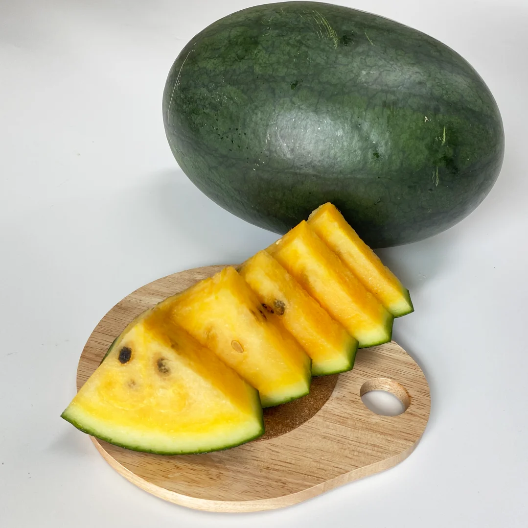 [Super special] high sugar Black Mango Watermelon Yellow yellow watermelon 1.5kg ~ 5kg [CS guaranteed]