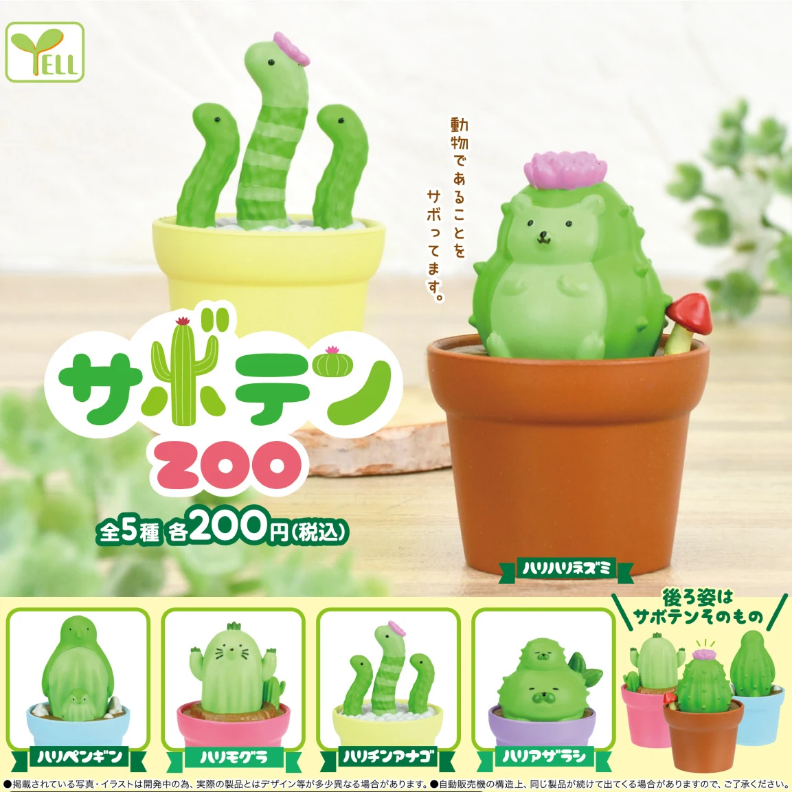 Juguetes gashapon originales, animales de cactus kawaii, erizo, pingüino, sello, topo, manchado, anguila de jardín, Mandrake, figuras de plantas en macetas