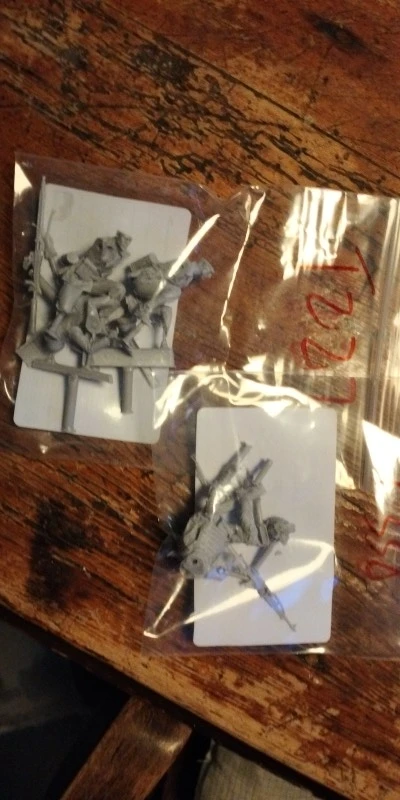 Buyer photo of this resin kit