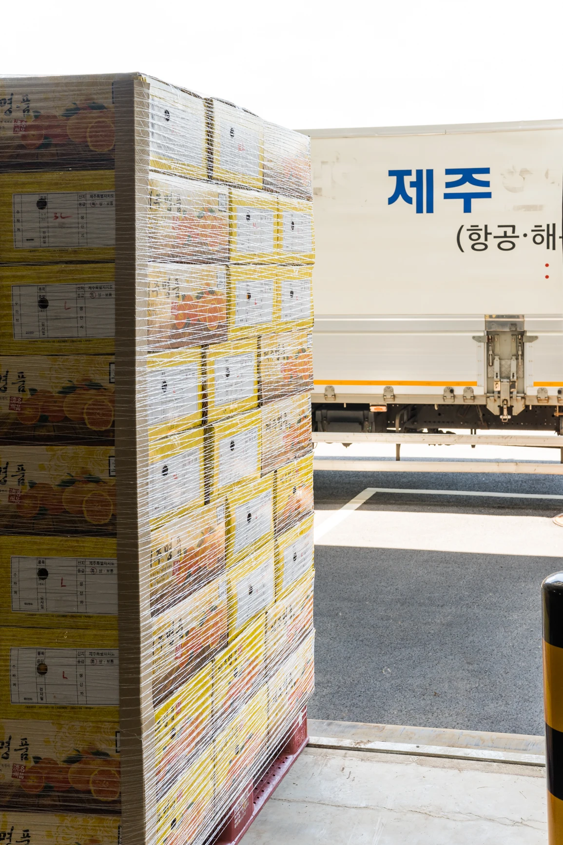 당도선별 밀감 귤 하우스 감귤 3kg
