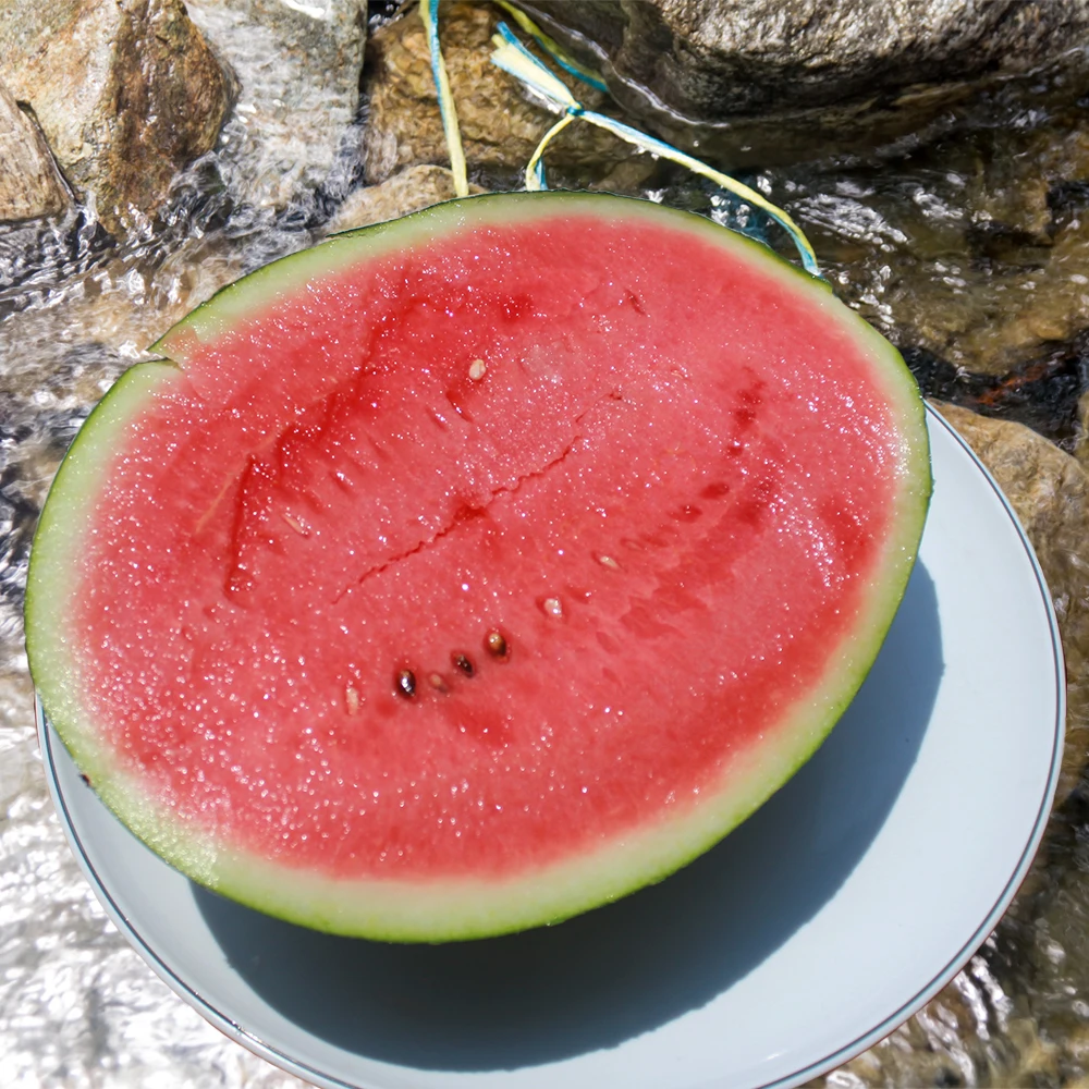 Sandía con alto contenido de azúcar, miel deliciosa, entrega en el día de la cosecha, 6 ~ 9kg [CS garantizado]