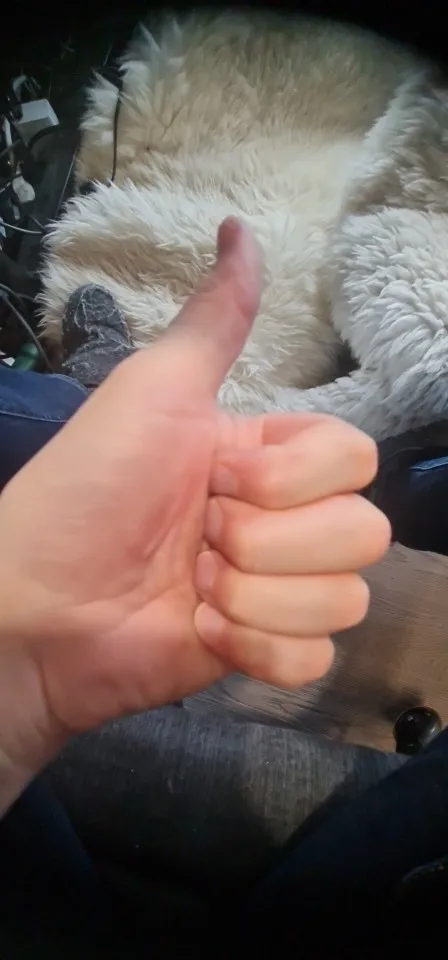 실물 포토 리뷰