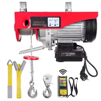 250kg Electric Hoist Crane Portable Lifter Overhead Garage Winch with Wireless Remote Control for Car Garage Boat